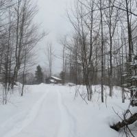 Michigan Recreational Property 50165363