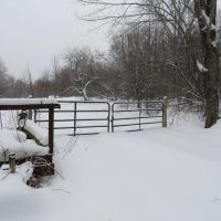 Michigan Recreational Property 50165363 images 2