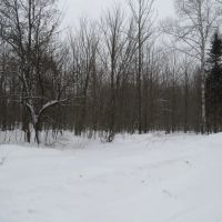 Michigan Recreational Property 50165363 images 3
