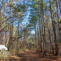 Hiers Corner images 3