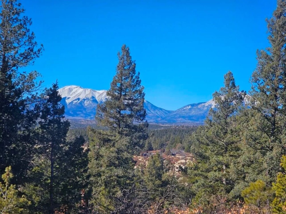 40 Acres Bordering 4 300 acres of State Wildlife Area featured image