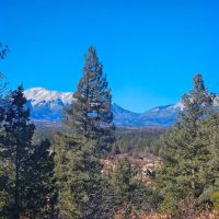 40 Acres Bordering 4 300 acres of State Wildlife Area