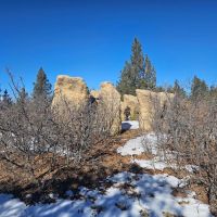 40 Acres Bordering 4 300 acres of State Wildlife Area images 2