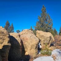 40 Acres Bordering 4 300 acres of State Wildlife Area images 3