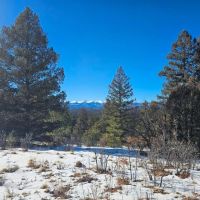 40 Acres Bordering 4 300 acres of State Wildlife Area images 4