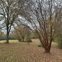 85 Acres with a Home in Calhoun County MS images 2
