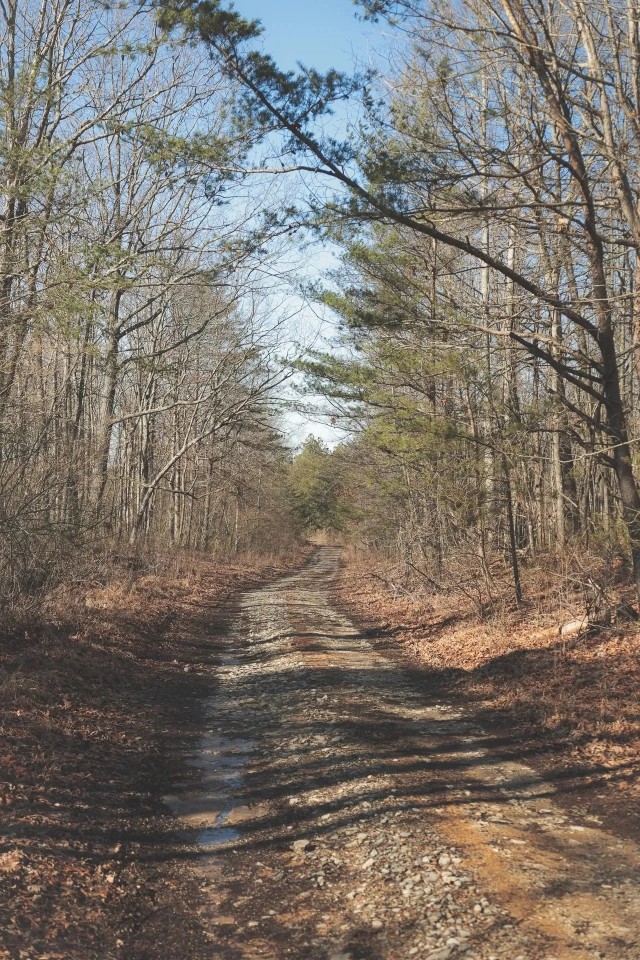 9.4 Acres in Marion County TN featured image