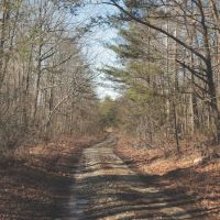 9.4 Acres in Marion County TN