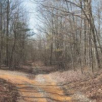 9.4 Acres in Marion County TN images 2
