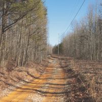 9.4 Acres in Marion County TN images 3