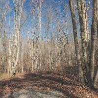 9.4 Acres in Marion County TN images 4