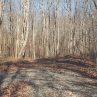 9.4 Acres in Marion County TN images 5