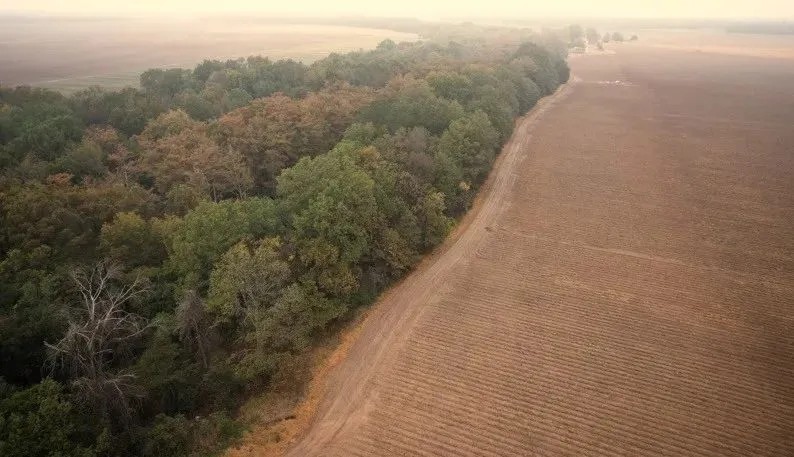 54 Acres in Sunflower County in Ruleville MS featured image