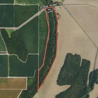 54 Acres in Sunflower County in Ruleville MS images 5