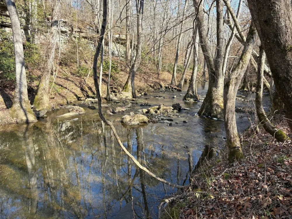 113 Acre Homestead Farm in Lawrence County AL featured image