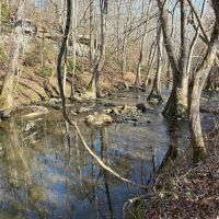 113 Acre Homestead Farm in Lawrence County AL images 1