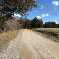 113 Acre Homestead Farm in Lawrence County AL images 3