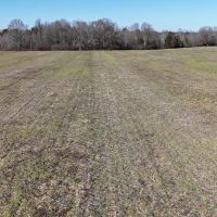 113 Acre Homestead Farm in Lawrence County AL images 4