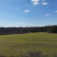 113 Acre Homestead Farm in Lawrence County AL images 5