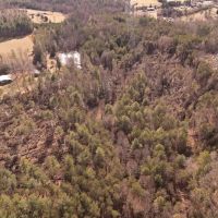 22.64 Acres of Timber Land in Caldwell County NC images 5