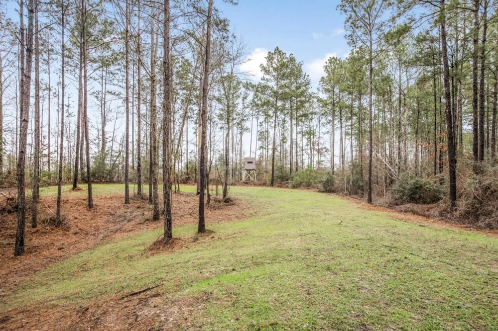 100 Acres w 2 Bed 1 Bath camp featured image