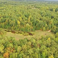 The Chestnut Woods images 3