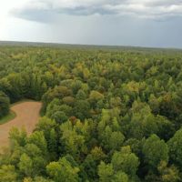 The Chestnut Woods images 4