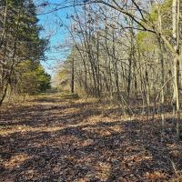 Convenient Country Setting images 5