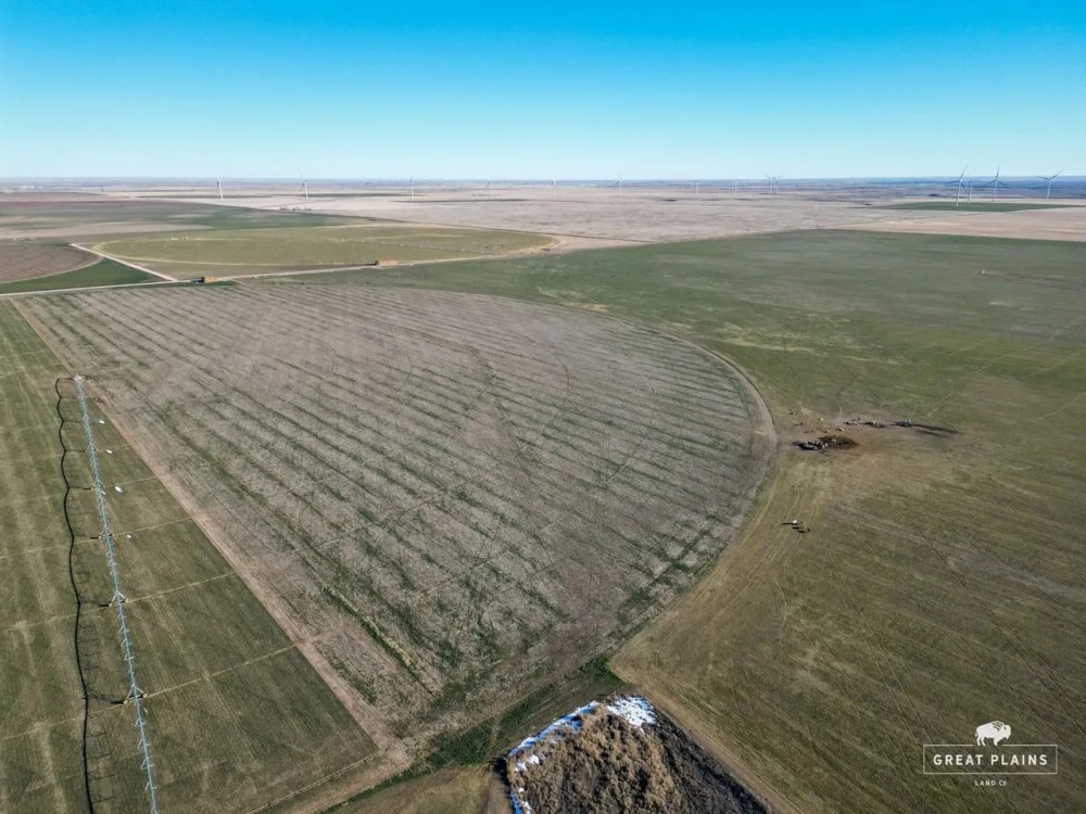 Merrill Farms Sold in 2 Tracts featured image