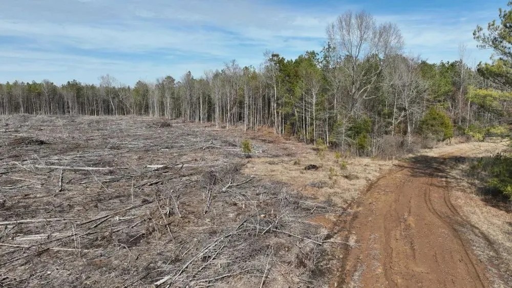 Tucker 200 ac Marengo County Alabama featured image