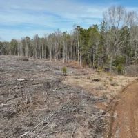 Tucker 200 ac Marengo County Alabama