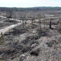 Tucker 200 ac Marengo County Alabama images 2