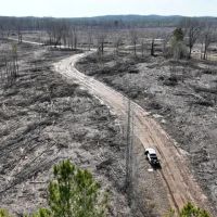 Tucker 200 ac Marengo County Alabama images 4
