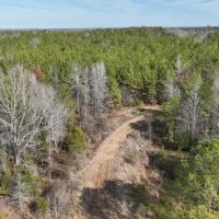 Tucker 200 ac Marengo County Alabama images 5