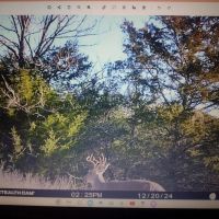 Lone Oak Retreat images 5