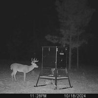 140 Acres PR 8079 Ben Wheeler images 3