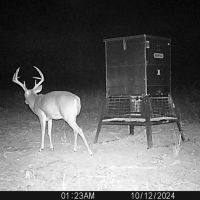 140 Acres PR 8079 Ben Wheeler images 4