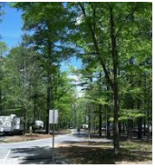 2,053 acres Cane Creek State Park Deer & Turkey Hunting Land in Star City, AR images 4