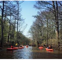 2,053 acres Cane Creek State Park Deer & Turkey Hunting Land in Star City, AR images 5