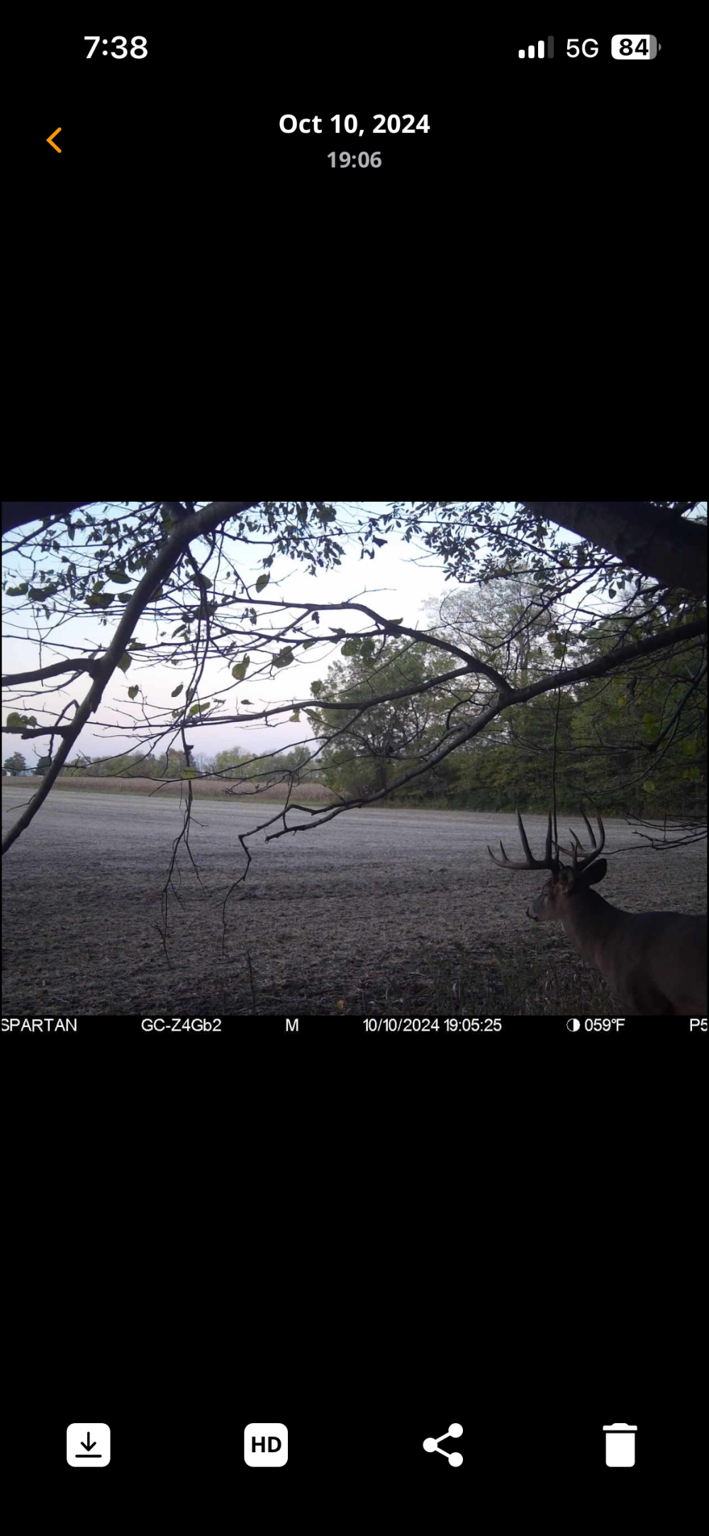 Edgington 1 deer featured image
