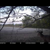 212 Acre Champaign County with Wooded Creek