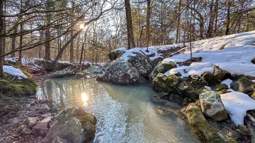 38-Acre Retreat with Home Shop and River Access Near Sardis Lake featured image