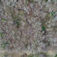 Lone Oak 16.67 images 4