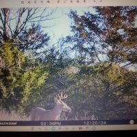 Lone Oak 16.67 images 5