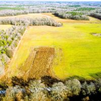 78 Acre County Line Road Farm images 5