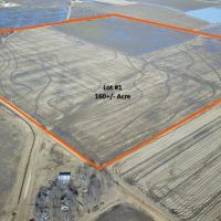 Northeast Arkansas Farm for Sale by Auction images 2