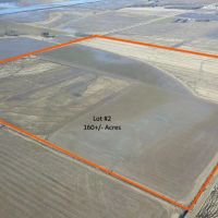 Northeast Arkansas Farm for Sale by Auction images 3