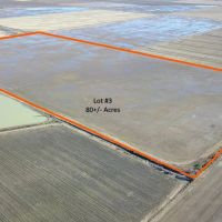 Northeast Arkansas Farm for Sale by Auction images 4