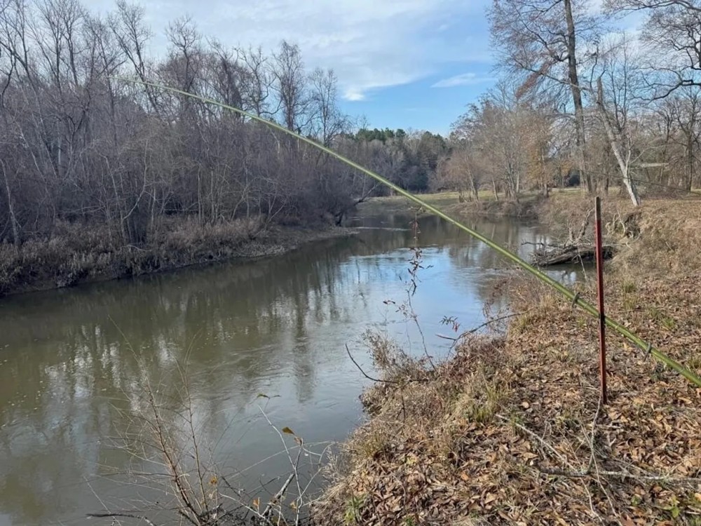 Land on the Tangipahoa River in Pike County MS featured image