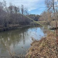 Land on the Tangipahoa River in Pike County MS